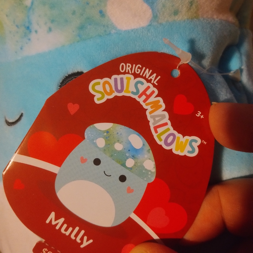 Mushroom squishmallow, Mully
